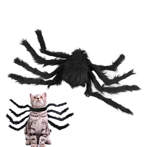 Maciun Spinnenkostüm für Katzen, kreatives Kätzchen-Outfit – Hundebekleidung, Katzen-Halloween-Kostüm für kleine Hunde und Katzen, Festival-Dekoration von Maciun