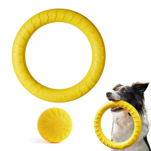 Hunde-Flugring + Kugelförmiges Spielzeug, Schwimmendes Flugscheiben-Hundespielzeug, Outdoor-Fitness-Flugscheiben, Langlebiges Kauspielzeug - Zum Training Im Freien Für Kleine Und Mittelgroße Hunde (S) von Mafagwre