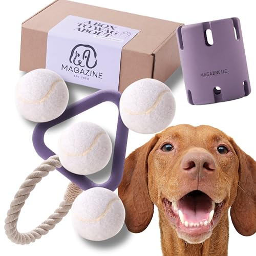 Magazine Hundespielzeug Geschenkbox Tennis Tumble Tauziehen Naturkautschuk Hundespielzeug von Magazine