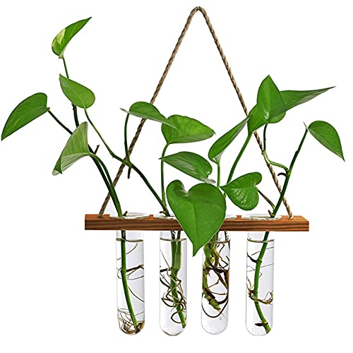 Wandbehang Pflanzgefäß Terrarium mit Holzständer, Mini Reagenzglas Blumenvasen Retro Hängende Glas Pflanzgefäß Anzucht für Hydrokulturpflanzen Schneiden Heimdekoration, 4 Anzuchtröhren von Maghat