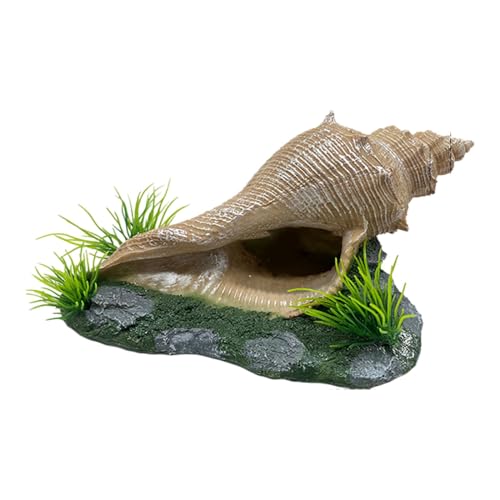 MagiDeal Korallen Dekor Aquarium Ornament Brüterei Haustier Zubehör Statue für Süßwasser Shop Büro Luft Pflanzen Betta, Rechteckige Muschel von MagiDeal