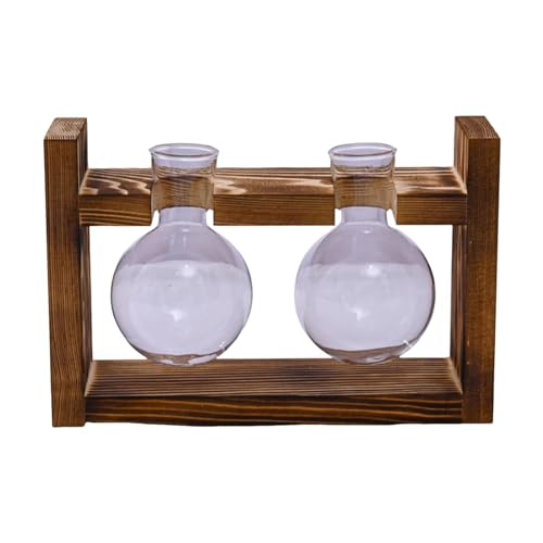 MagiDeal Terrarium-Glas-Pflanzgefäß mit Holzständer, Blumenvase, handgefertigter Holzrahmen, Pflanzenhalter für Heim- und Bürodekoration, vielseitig einsetzbar, 19.8x5.7x13cm von MagiDeal