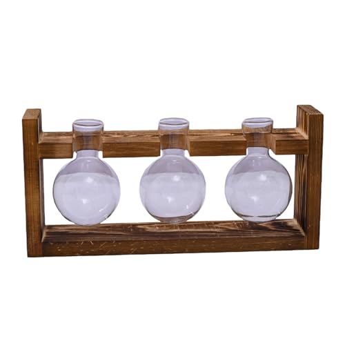 MagiDeal Terrarium-Glas-Pflanzgefäß mit Holzständer, Blumenvase, handgefertigter Holzrahmen, Pflanzenhalter für Heim- und Bürodekoration, vielseitig einsetzbar, 27.6x5.7x13cm von MagiDeal