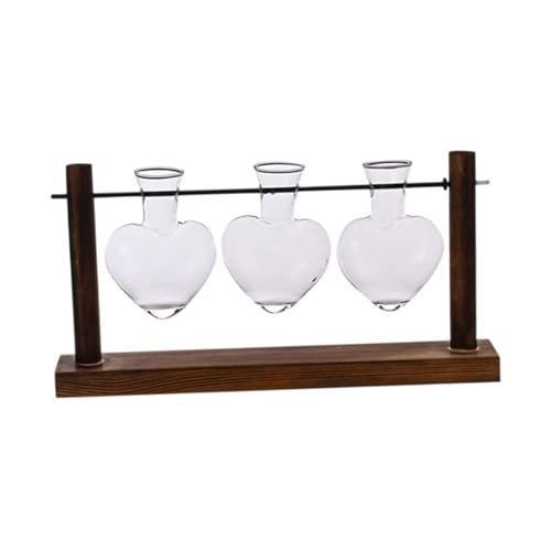 MagiDeal Terrarium Pflanzer Hydroponics Pflanzenhalter Holzrahmen für Innenschreibtisch -Einkünfte Mehrzweck -dekorativen Raumsparung 30x16 cm von MagiDeal