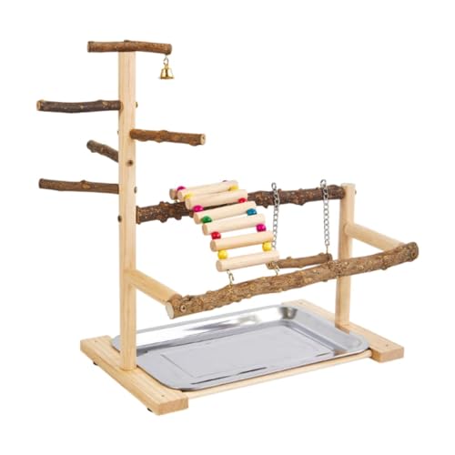 MagiDeal Vogelspielplatz Vogelkäfig Spielständer Haustier Vogel Sitzstange Ständer Papagei Spielen Gym Sittich Käfig Dekor Wellensittich Sitzstange Ständer von MagiDeal