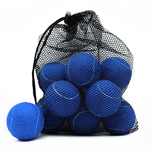 Magicorange Tennisbälle, 12 Stück, fortgeschrittene Trainings-Tennisbälle, Übungsbälle, Haustier-Hund-Spielbälle, kommen mit Netztasche für einfachen Transport, gut für Anfänger-Trainingsball (blau) von Magicorange