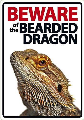 Magnet & Steel Beware of The Bearded Dragon - Flexi Portrait von Magnet & Steel