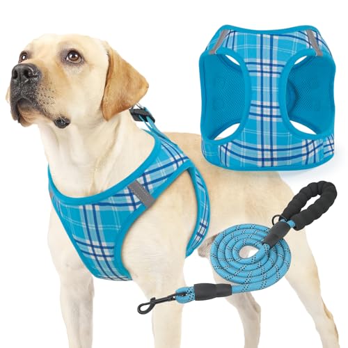 Magshion Hundegeschirr mit Leine, Set für kleine Hunde, kein Ziehen, weich, bequem, gepolstert, zum Gehen, Laufen, Training, Himmelblau, Größe XL von Magshion