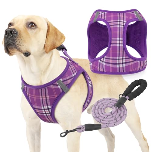 Magshion Hundegeschirr mit Leine, Set für kleine Hunde, kein Ziehen, weich, bequem, gepolstert, zum Gehen, Laufen, Training, Lila, Größe XL von Magshion