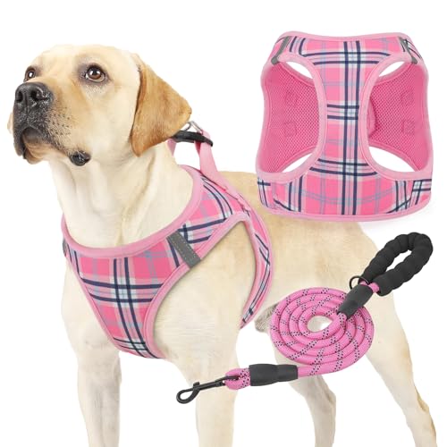 Magshion Hundegeschirr mit Leine, Set für kleine Hunde, kein Ziehen, weich, bequem, gepolstert, zum Gehen, Laufen, Training, Rosa, Größe XL von Magshion