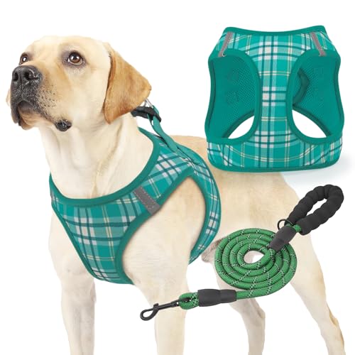 Magshion Hundegeschirr mit Leine, Set für kleine Hunde, kein Ziehen, weich, bequem, gepolstert, zum Spazierengehen, Laufen, Training, Rasengrün, Größe XL von Magshion