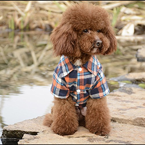 Maibar Hunde Kleider Haustiere Dekoration Sonnenschutz Modische Casual Plaid Shirt Gute Geschenke für Hunde S-XL (L, orange) von Maibar