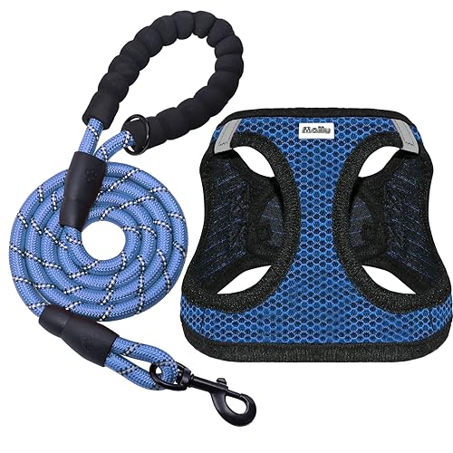 Maiiu Hundegeschirr und Leine, kein Ziehen, verstellbar, reflektierend, mit gepolstertem Air-Mesh für kleine, mittelgroße Hunde und Katzen (XL, Blau) von Maiiu