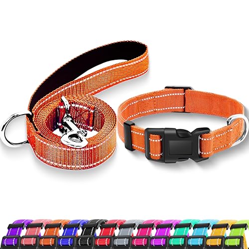 Maiiu Reflektierendes Hundehalsband mit Sicherheitsschnalle, verstellbar, weich, atmungsaktiv, Nylon, für kleine, mittelgroße und große Hunde (Halsband + Leine, Größe S, Breite 1,6 cm, Orange) von Maiiu