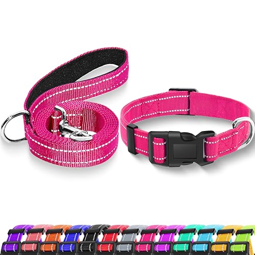 Maiiu Reflektierendes Hundehalsband mit Sicherheitsschnalle, verstellbar, weich, atmungsaktiv, Nylon, für kleine, mittelgroße und große Hunde (Halsband + Leine, XS, Breite 0,95 cm, Hotpink) von Maiiu