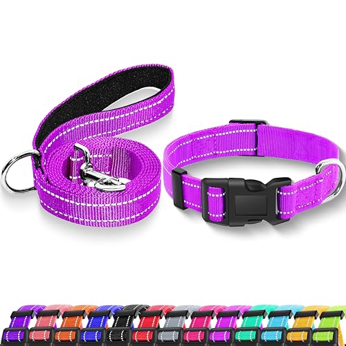 Maiiu Reflektierendes Hundehalsband mit Sicherheitsschnalle, verstellbar, weich, atmungsaktiv, Nylon, für kleine, mittelgroße und große Hunde (Halsband + Leine, XS, Breite 0,95 cm, rosert) von Maiiu