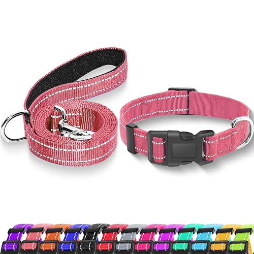 Maiiu Reflektierendes Hundehalsband mit Sicherheitsschnalle, verstellbar, weich, atmungsaktiv, Nylon, für kleine, mittelgroße und große Hunde (Halsband + Leine, XS, Breite 1,9 cm, Rosa) von Maiiu