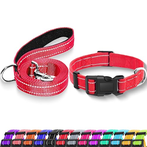 Maiiu Reflektierendes Hundehalsband mit Sicherheitsschnalle, verstellbar, weich, atmungsaktiv, Nylon, für kleine, mittelgroße und große Hunde (Halsband + Leine, XS, Breite 1,9 cm, Rot) von Maiiu