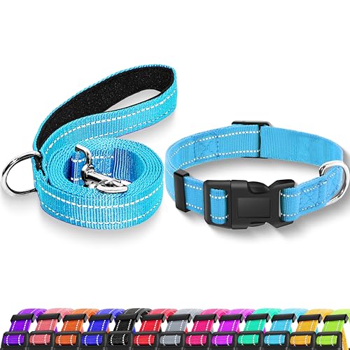 Maiiu Reflektierendes Hundehalsband mit Sicherheitsschnalle, verstellbares, weiches, atmungsaktives Nylon-Halsbänder für kleine, mittelgroße und große Hunde (Halsband + Leine, Größe S, Breite 1,9 cm, von Maiiu