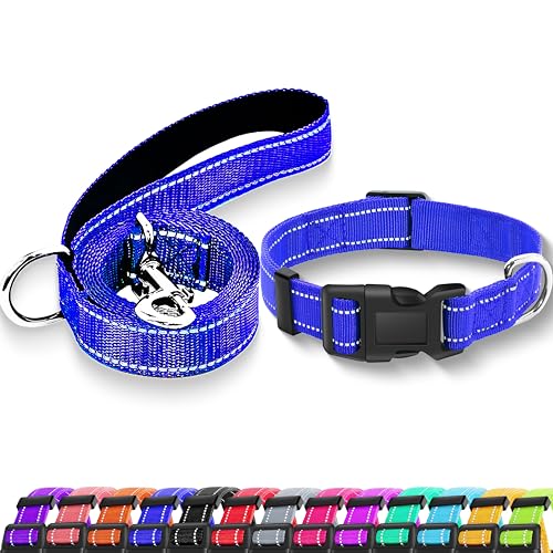 Maiiu Reflektierendes Hundehalsband mit Sicherheitsschnalle, verstellbares, weiches, atmungsaktives Nylon-Halsbänder für kleine, mittelgroße und große Hunde (Halsband + Leine, Größe S, Breite 1,9 cm, von Maiiu