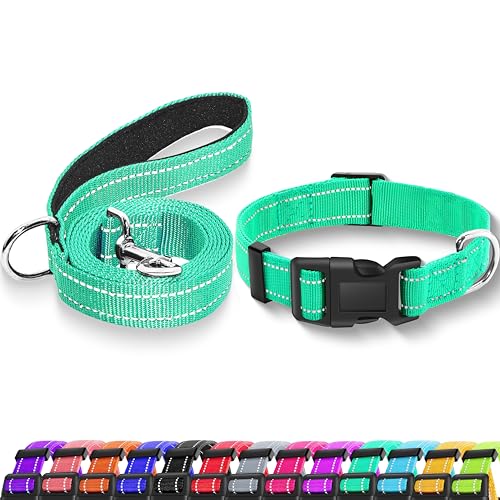 Maiiu Reflektierendes Hundehalsband mit Sicherheitsschnalle, verstellbares, weiches, atmungsaktives Nylon-Halsbänder für kleine, mittelgroße und große Hunde (Halsband + Leine, Größe S, Breite 1,6 cm, von Maiiu