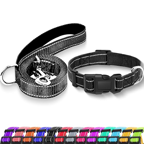 Maiiu Reflektierendes Hundehalsband mit Sicherheitsschnalle, verstellbares, weiches, atmungsaktives Nylon-Halsbänder für kleine, mittelgroße und große Hunde (Halsband + Leine, Größe S, Breite 1,6 cm, von Maiiu