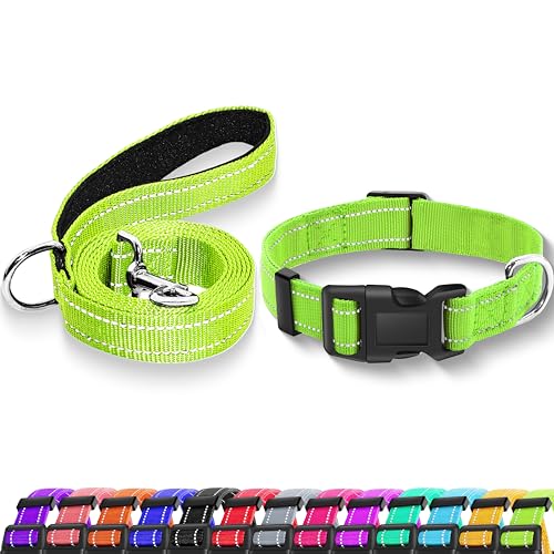 Maiiu Reflektierendes Hundehalsband mit Sicherheitsschnalle, verstellbares, weiches, atmungsaktives Nylon-Halsbänder für kleine, mittelgroße und große Hunde (Halsband + Leine, Größe S, Breite 1,6 cm, von Maiiu