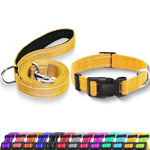 Maiiu Reflektierendes Hundehalsband mit Sicherheitsschnalle, verstellbares, weiches, atmungsaktives Nylon-Halsbänder für kleine, mittelgroße und große Hunde (Halsband + Leine, XS, Breite 1,6 cm, Gelb) von Maiiu