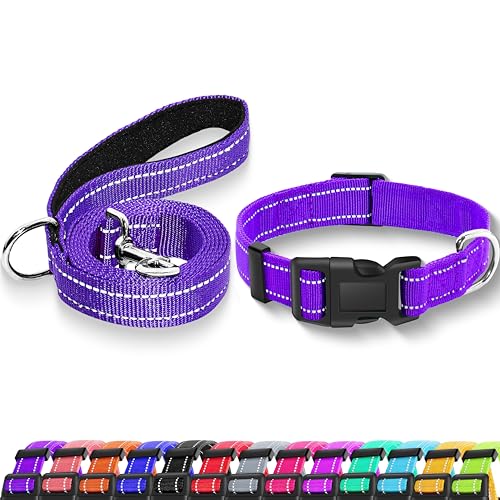 Maiiu Reflektierendes Hundehalsband mit Sicherheitsschnalle, verstellbares, weiches, atmungsaktives Nylon-Halsbänder für kleine, mittelgroße und große Hunde (Halsband + Leine, XS, Breite: 1,9 cm, von Maiiu