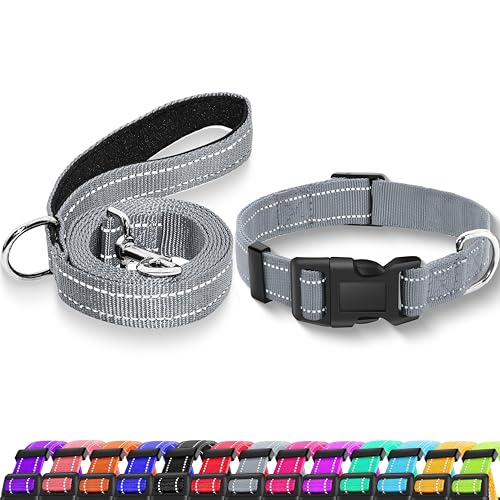 Maiiu Reflektierendes Hundehalsband mit Sicherheitsverschluss, verstellbar, weich, atmungsaktiv, Nylon-Halsbänder für kleine, mittelgroße und große Hunde (Halsband + Leine, Größe M, Grau) von Maiiu