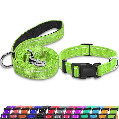 Maiiu Reflektierendes Hundehalsband mit Sicherheitsverschluss, verstellbar, weich, atmungsaktiv, Nylon-Halsbänder für kleine, mittelgroße und große Hunde (Halsband + Leine, XL, Grün) von Maiiu