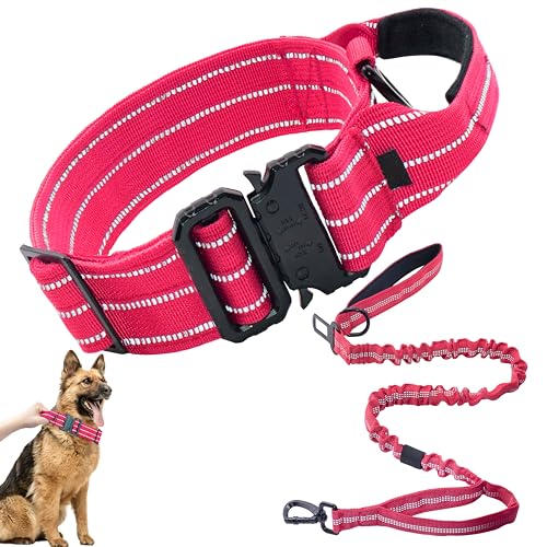 Maiiu Taktisches Hundehalsband und Leine, verstellbares, militärisches Training, robuste Metallschnalle für mittelgroße und große Hunde (M, rosa Set) von Maiiu