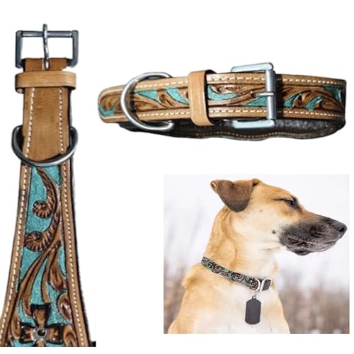 Majestic Ally Hundehalsband aus echtem Leder mit verstellbarer, gepolsterter Passform zum Gehen, Wandern und Laufen, Designer-Westernkleidung für Welpen, ausgefallene Farben (Antik-Natur-Türkis, Größe von Majestic Ally