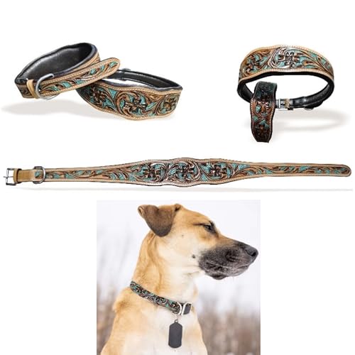 Majestic Ally Hundehalsband aus echtem Leder mit verstellbarer, gepolsterter Passform zum Gehen, Wandern und Laufen, Designer-Westernkleidung für Welpen, ausgefallene Farben (Antik-Natur-Türkis, Größe von Majestic Ally