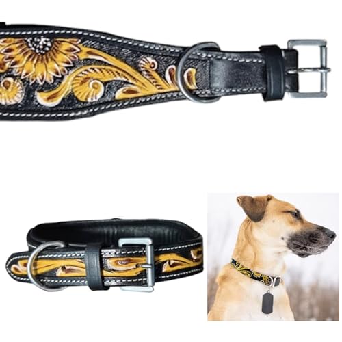 Majestic Ally Hundehalsband aus echtem Leder mit verstellbarer, gepolsterter Passform zum Gehen, Wandern und Laufen, Designer-Westernkleidung für Welpen, ausgefallene individuelle Farben von Majestic Ally