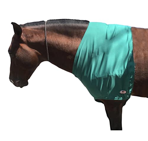 Majestic Ally Premium 4-Wege-Stretch Spandex/Elasthan Pferd Schulterschutz und Schutz (groß, türkis) von Majestic Ally