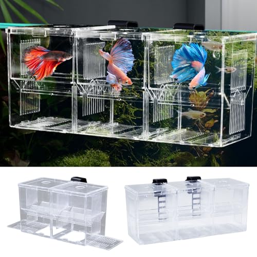 Makamsui Aquarium Fisch Zuchtbox, Acryl Transparent Multi-Grid Design Fisch Isolation Box Hatchery-Inkubator für Neugeborene Fry Shrimp Clownfish Aggressive Fische Verletzte Transparent L von Makamsui