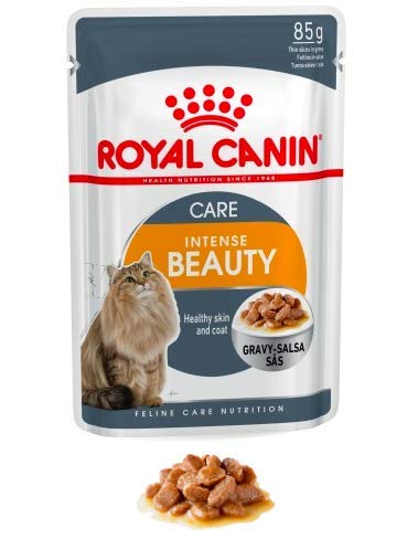 Maltbys' Stores 1904 Limited 24 x 85 g (Nassbeutel) Royal Canin Intense Beauty Care (in Gravy) Katzenfutter von MALTBYS' STORES 1904 LTD