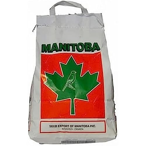 Manitoba - Mixtur für Kanarienvögel Manitoba T3 Platin 5 kg von Manitoba