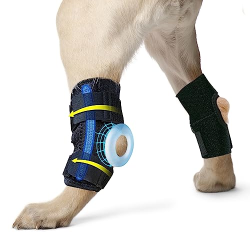 Mankoda Hundebeinbandagen für Rückenbeine, 1 Paar Hundebeinmanschette für Hinterbein, Kopfgelenk und Knöchel, Sockverletzungen, Arthritis und zerrissene ACL (Größe: L) von Mankoda