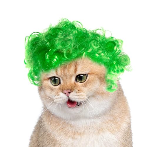 Manolyee Grüne Hunde-Perücke, Katzen-Cosplay-Perücke, kurzes lockiges Haar, kreative Haustier-Perücke, Verkleidungsdekorationen für Festivals, Tierhaar-Zubehör von Manolyee