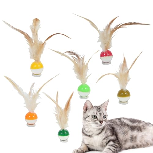 Manolyee Katzen Spielball,Frucht Design Interaktiver Katzenball | 6 Stück, Lustiges Haustierzubehör Für Spielen Werfen Springen Indoor-Aktivitäten Manolyee Katzen Spielball,Frucht Design Interaktiver Katzenball | 6 Stück, Lustiges Haustierzubehör Für Spielen Werfen Springen Indoor-Aktivitäten von Manolyee