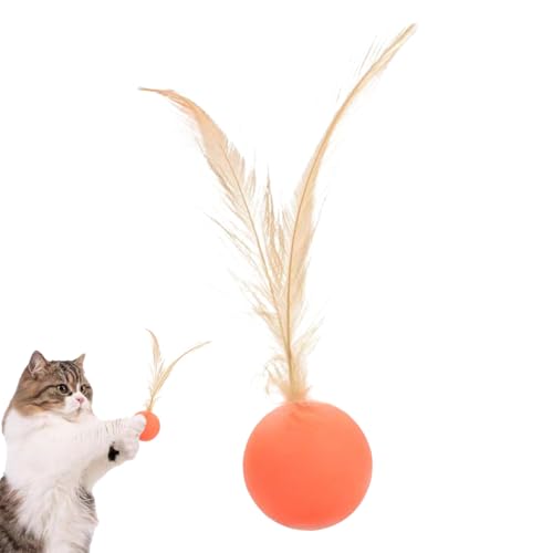 Manolyee Katzen Spielball | Selbstbeschäftigungsspielzeug,Interaktiver Federball Für Sensorik Spiel, Innen- & Außenbereich, Jagdspiel & Bewegung Manolyee Katzen Spielball | Selbstbeschäftigungsspielzeug,Interaktiver Federball Für Sensorik Spiel, Innen- & Außenbereich, Jagdspiel & Bewegung von Manolyee