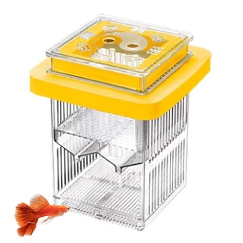 Schwimmende Fischzüchtung Isolation Box, Fischschlüpfkasten - Clear Guppy Fish Tank Breeder Fall,Clear Aquatic Life Incubator Isolation Box für Betta von Manolyee