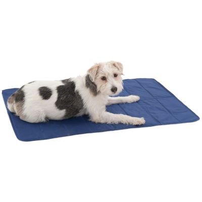 Mantovani Pet Diffusion Fresko Relax M von Mantovani Pet Diffusion