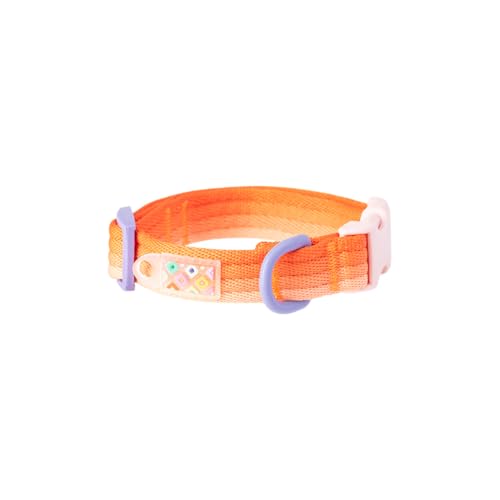 Hundehalsband (Orange, S) von Maogoublue