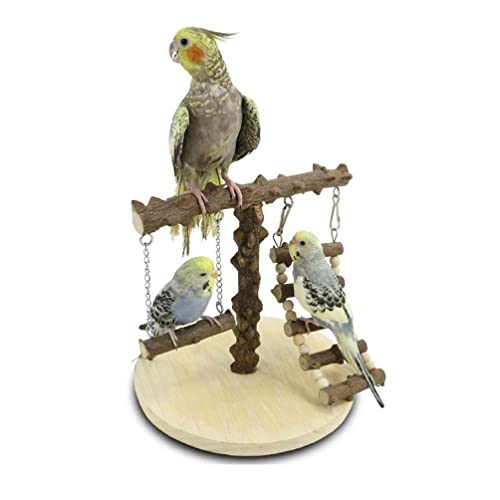 Lovebird Papageien Käfig Sitzstange Steg Schaukel Klettern Holz Trainingsleiter Spielzeug für Vogel Funfair Vogelschaukel für Conures von Maouira