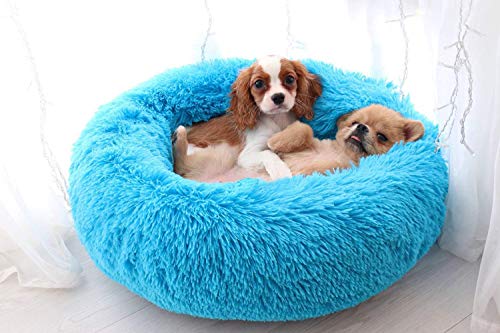 Maran Luxuriöses Donut-Haustierbett Hundekissen,Warm Hundeschlafplatz Katzendecke Hundematratze Tierbedarf Hundekorb für Hunde Katzen Hundekissen-blau-50 * 50 * 20cm von Maran