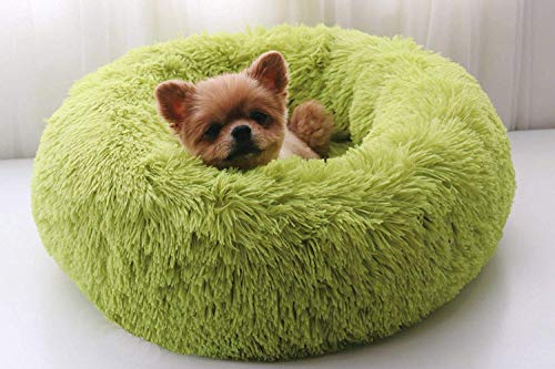 Maran Luxuriöses Donut-Haustierbett Hundekissen,Warm Hundeschlafplatz Katzendecke Hundematratze Tierbedarf Hundekorb für Hunde Katzen Hundekissen-grün-70 * 70 * 20cm von Maran