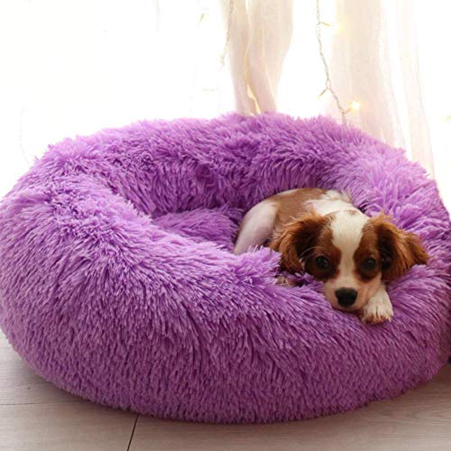 Maran Plüsch Runde Hundebett Selbstwarm Katzenbett rutschfest Hundematte mit weichem Kissen Abnehmbar Waschbar Betten für Katzen und kleine bis mittelgroße Hunde-Lila-S:60 * 60CM von Maran